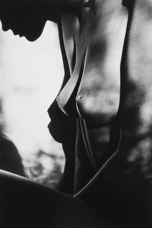 Sex nevver:  Shadow Lines, Jeanloup Sieff  pictures