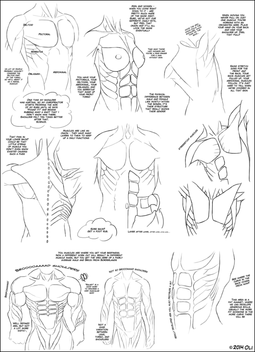 anatoref:Anatomy Tutorials, by DerSketchie