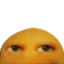 placeholderusername842