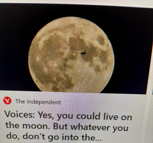 This Is A News Headline, So It Might Not Count As An Ominous Sign, But Enjoy Anyway.