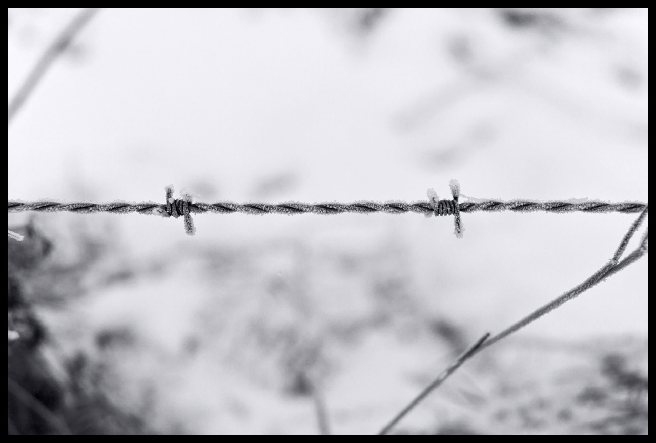 theodorversteegen:  Barbed Wire &amp; Iceby Theodor Versteegen - 2017