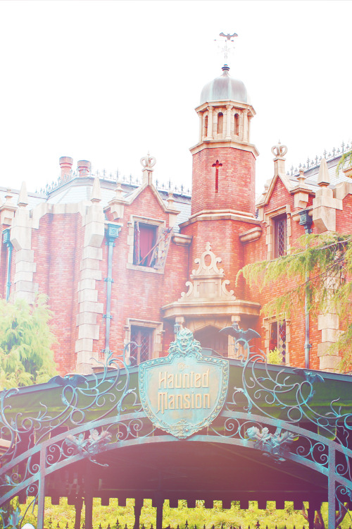 mickeyandcompany:  Haunted Mansion phone backgrounds. Feel free to use it. 