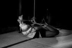 koteotakate:Photo&amp;Rope: Koteo Takate Model: Yuika Sawa