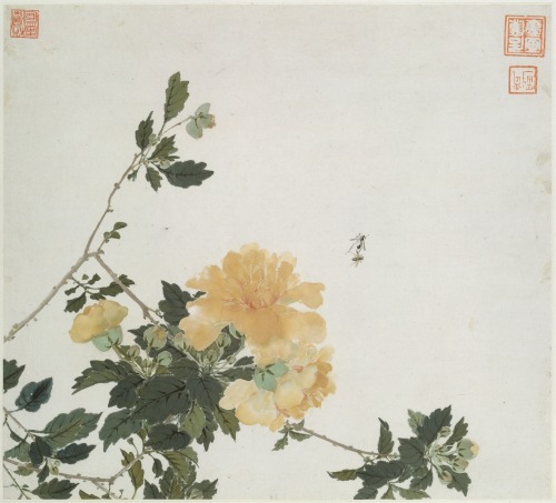 heaveninawildflower:Insects and Flowersby Ju Lian (Chinese, 1828–1904).Album of eight leaves; ink an