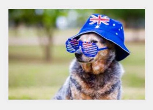 australia day