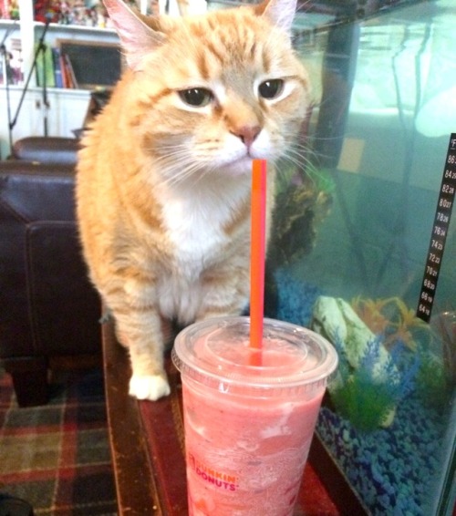 moveslikekeithrichards:she inspect smoothie