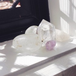 fellow5hip:  ♡ Cute lil crystals getting some sun ♡ 