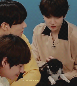 Min Yoongi & Dogs