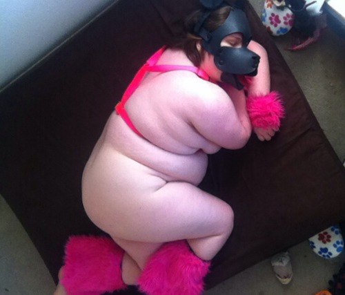 Porn photo cookiethepup:  A puppy bed from a very special,