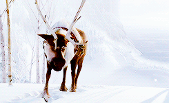 charliecox:gif battle | vs. jlawrencieround three • four colors - frozen