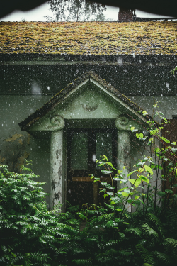 moody-nature:  Finnish summer of abandonment