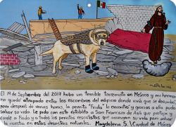 parakavka:  ithankthevirgin:  September 19, 2017, a terrible earthquake occurred in Mexico. My brother was trapped under the rubble of the building he lived in and which had been collapsed. Few hours later the dog Frida found him, and thanks to her he