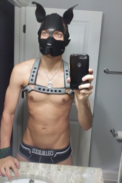 gaydoggytrainer:  http://gaydoggytrainer.tumblr.com