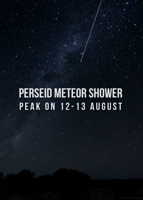 sci-universe:  The annual Perseid meteor shower is my favourite and the most famous