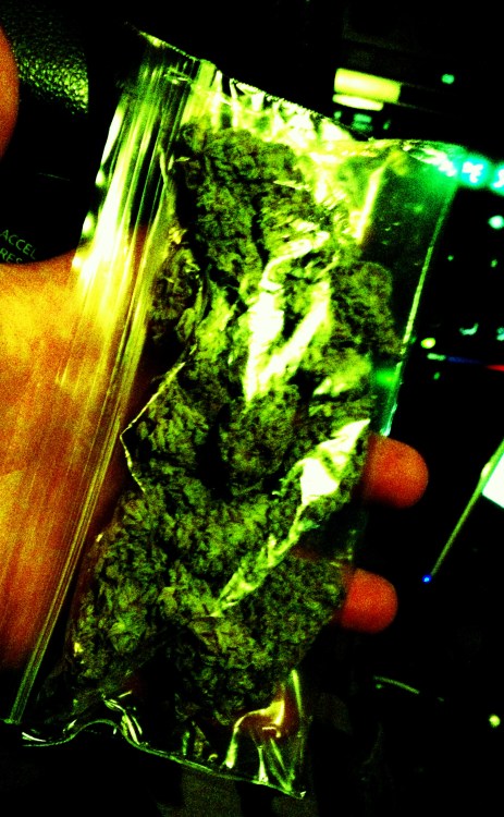 weedbluntsjointsbongs:  stay coppin doe