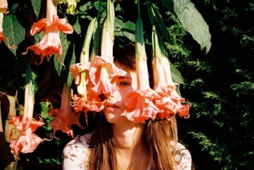 flihrty:  ☆ gypsy/indie blog ☆