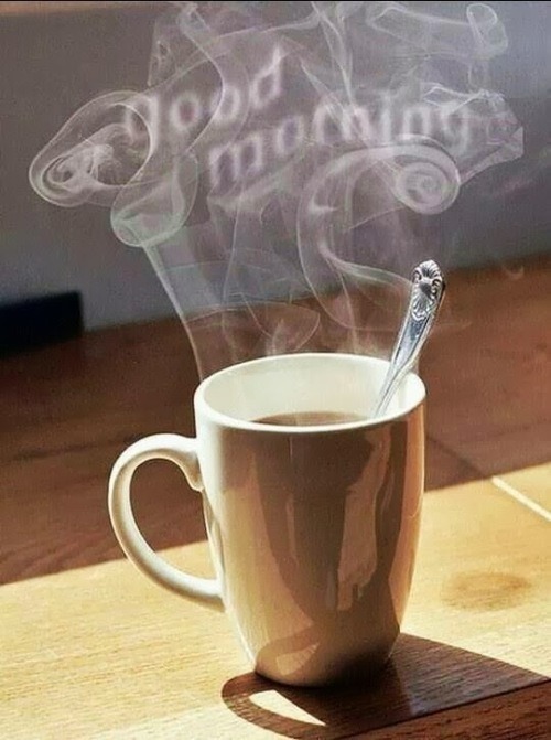 wonderfulparadox:  Good Morning