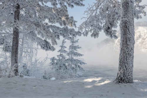 XXX expressions-of-nature:  Walk in the Winter photo