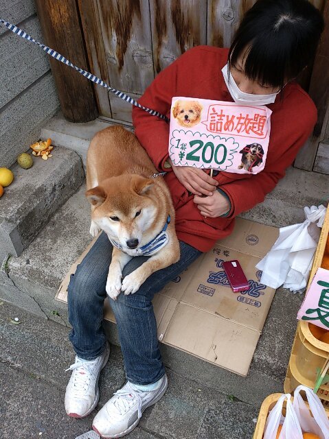  [二次元裏(may)(ふたば)] via Illustail