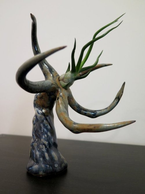 fhtagn-and-tentacles: AIR PLANT HOLDERS by Gregory Knopp