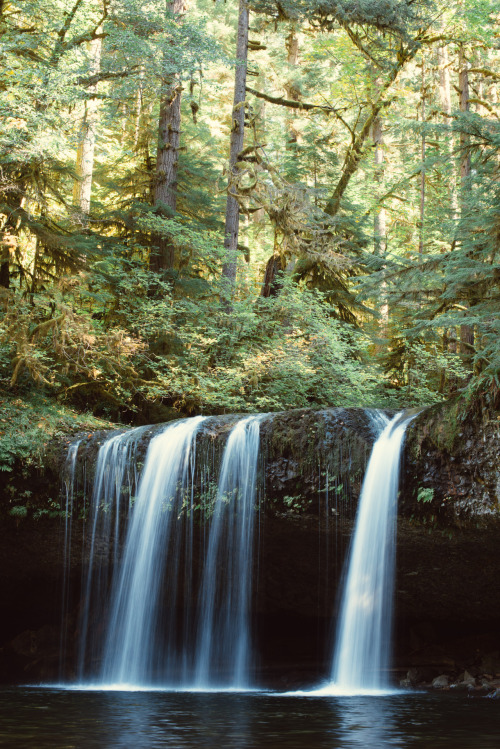 archatlas:    Kassandra Stockton A small sampling of the images from the Pacific Northwest you will find on the tumblr Dreamcatcher all captured by Kassandra Stockton. Enjoy the images that capture that magical combination of lush green forests full