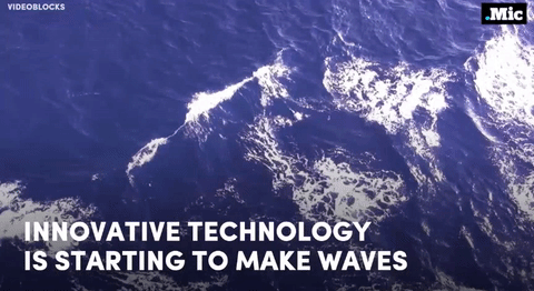 the-future-now:  i wouldn’t mind meeting this shark in open waters (x) | follow