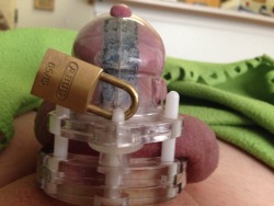 chastitypup:  Think I’m eagerly awaiting