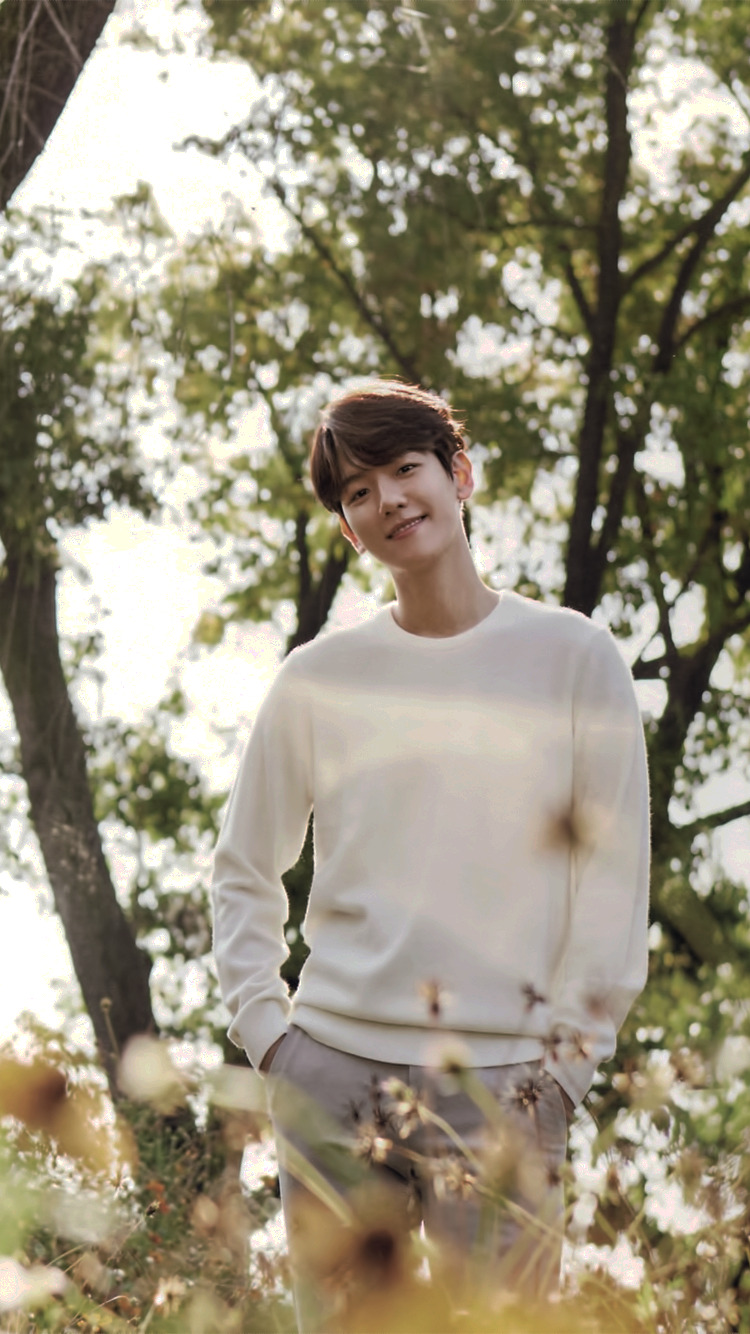 Chogiwart Exo Wallpaper Nature Republic