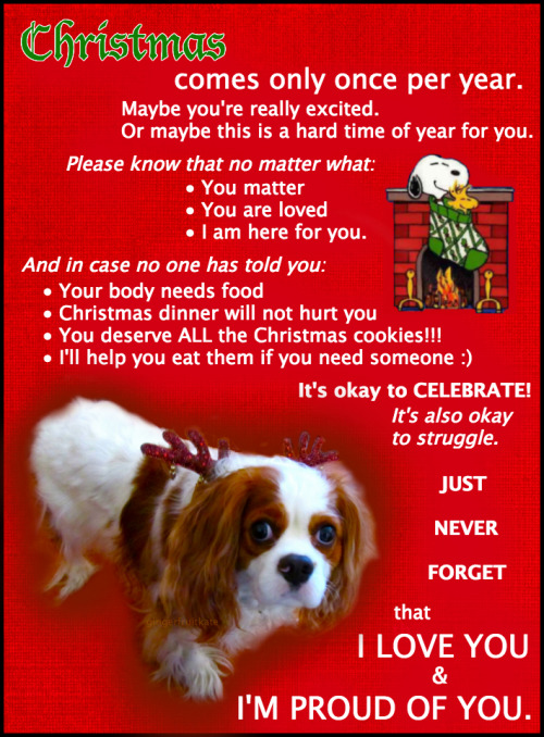 healthylivinghappylife:  gingerfruitkate:  My dog, Lucy, has a Christmas message for you all. xx  omg she’s the cutest 