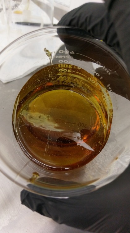 thankyoufortrippingwithme: Fresh Pure THC Distillate