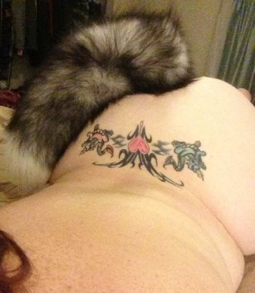 onesubsjourney:  onesubsjourney:  Foxy foxy!  It’s been a while, so I’ll reblog these. 😘