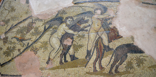 greek-museums:Crete, Archaeological Museum of Kissamos:Dionysiac Mosaic Floor[Found in] Antonios Sko
