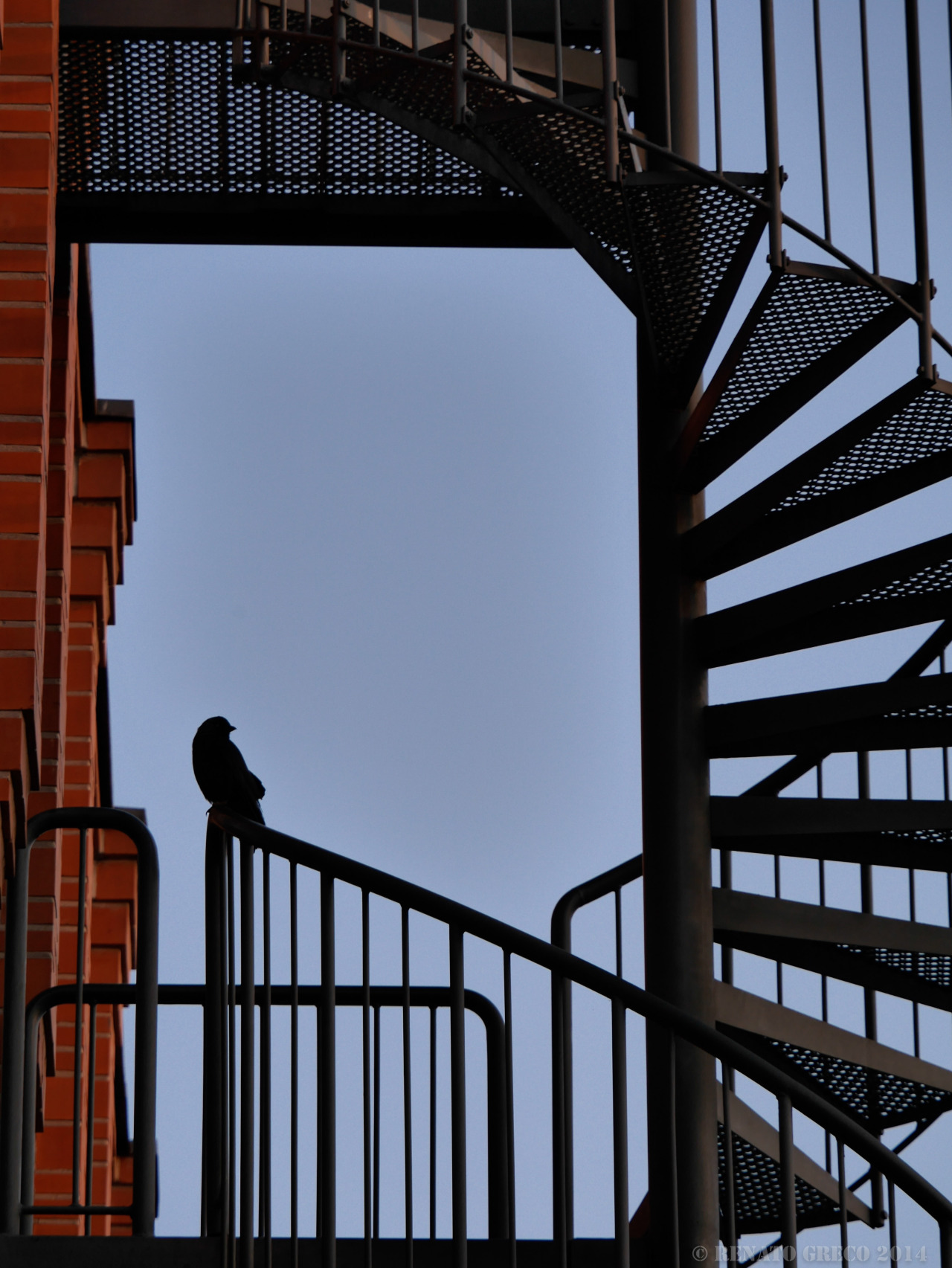 renus73:  bye bye blackbird - Kevelaer - Germany 2014
