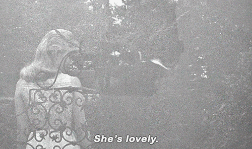 aarontaylorjohnson: LILITH (1964) dir. Robert Rossen