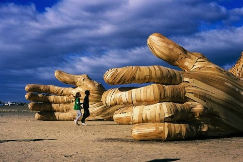 archiemcphee:  We just learned about an awesome annual festival called the Afrika Burns Creative Projects or AfrikaBurn. It’s an official Burning Man regional event which has been taking place in the desert of the Tankwa Karoo National Park in South