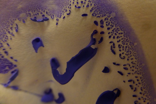 riverofechoes:Cobalt (II) Phosphate