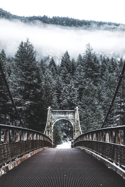 banshy:  Alexandra Bridge // Tanner Wendell Stewart  