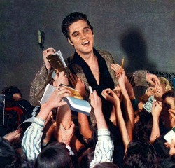 burning-love-for-elvis-presley:  Elvis surrounded