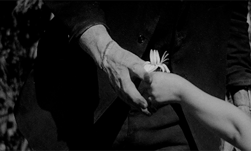 alpacinosgf:Frankenstein (1931) Dir. James Whale
