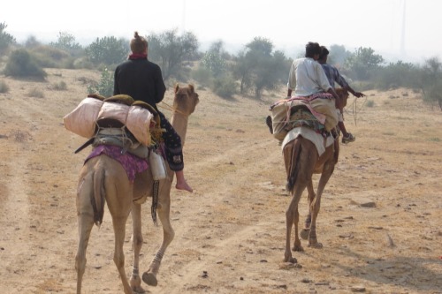 Desert town Jaisalmer