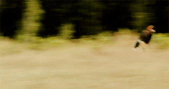 [Margaerys] Ladies Welcomed Sansa As Well. It Had Been So Long Since She Had Enjoyed The Company Of Other