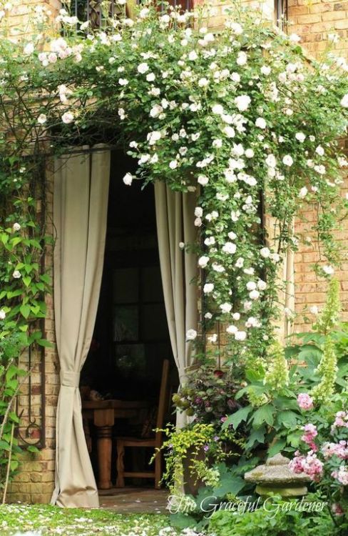 wwonderfulworld:  secret garden | LOVE no We Heart It. http://weheartit.com/entry/71273997/via/nene1313