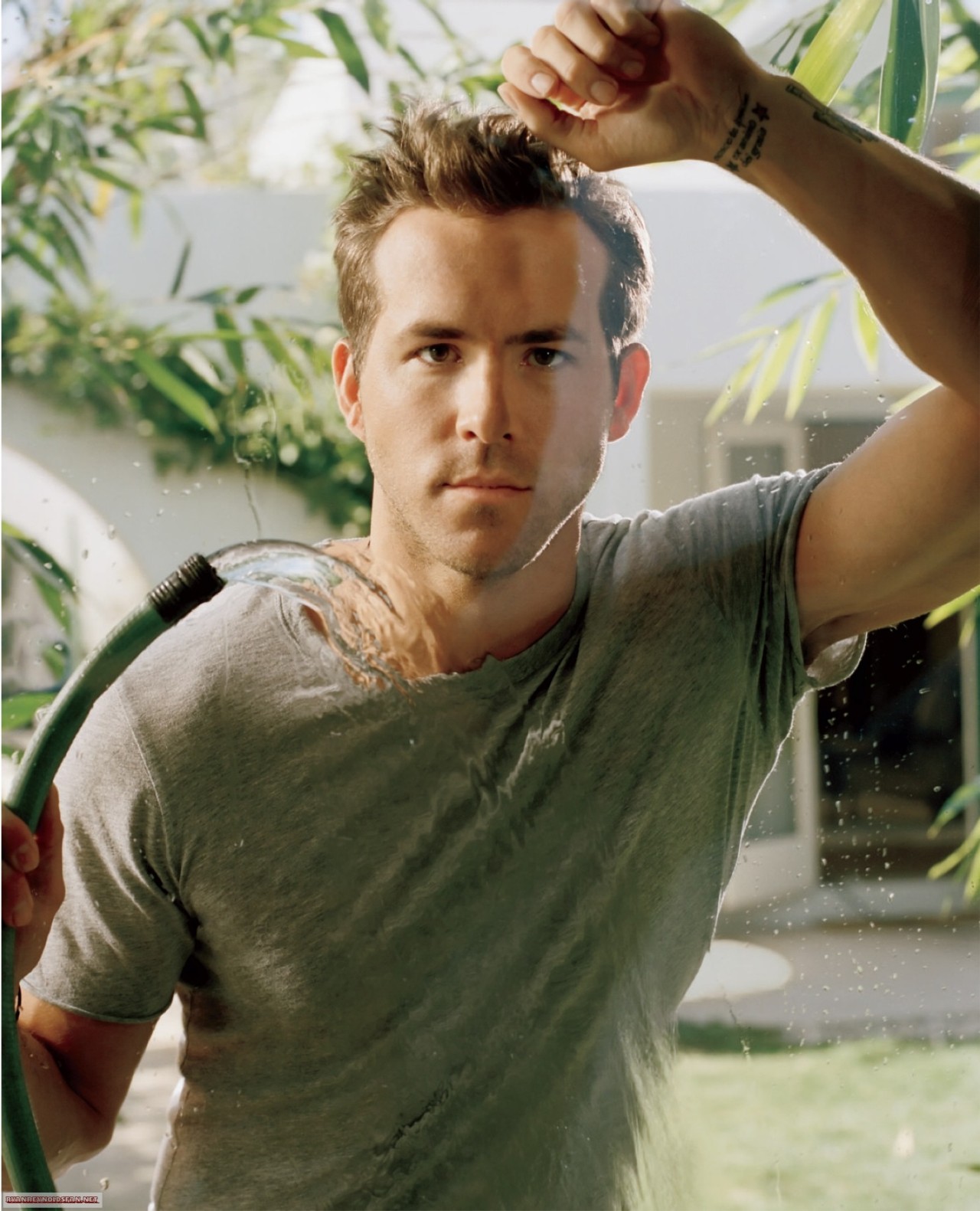 cales-vision:  Ryan Reynolds