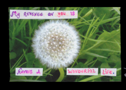 My Favorite PostSecrets