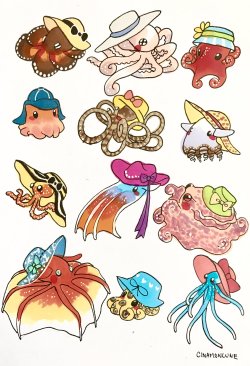 cinamoncune: Octopi and sunhats! 