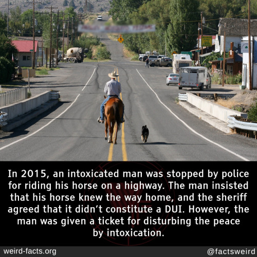 In 2015, an intoxicated man was stopped by police for riding his horse on a highway. The man insiste