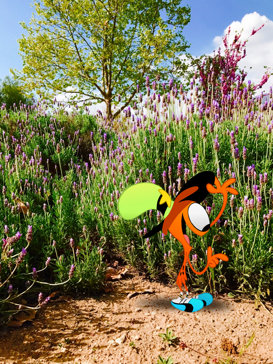 wanderin-over-yonder:  Wanderlust