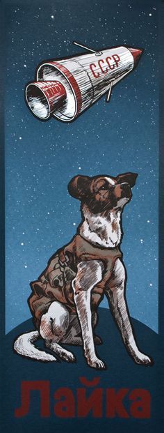 soviet union propaganda poster  laika