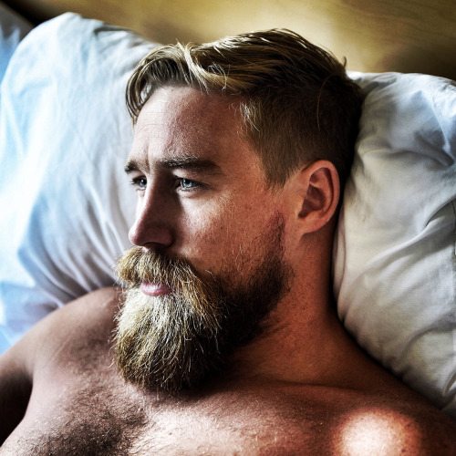 beards carefully curated