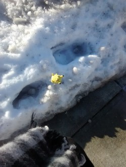 charlyoddsox:  petday: this morning i saw this in the snow all alone and i couldn’t just leave it there…  You’re a hero 